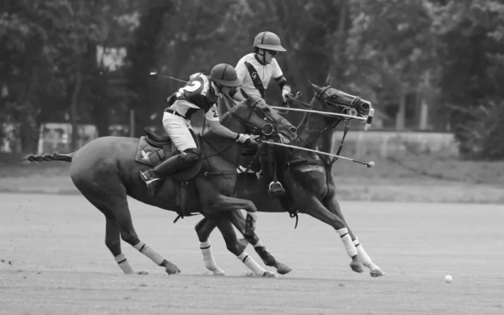 Croația Se Impune Autoritar, România Cedează în Fața Unui Kharkov Imbatabil la Polo