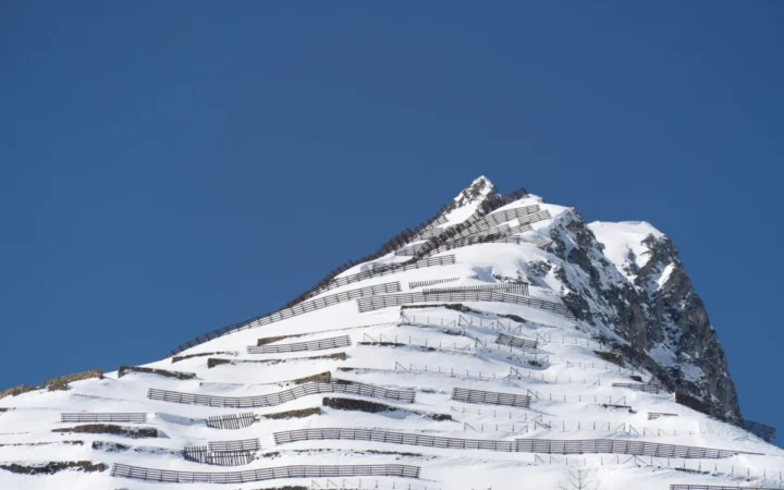 Avalanșe tragice în Alpi: Patru turiști uciși și incidente în lanț într-o singură săptămână