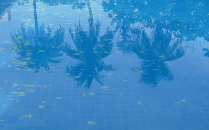 Popularitatea sporturilor acvatice în România: De ce tot mai mulți aleg înotul, aqua gym și polo pe apă