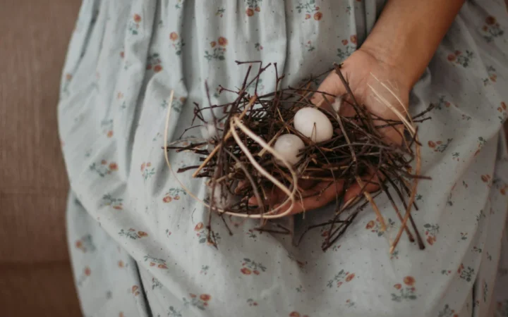Cum și-au incubat ouăle oviraptorii: Noi experimente arată diferențele față de păsările moderne