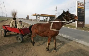 BOMBA ANULUI: Documentul care confirmă APOCALIPSA prețurilor! Vom ajunge să mergem cu calul la PECO în timp ce miliardele zboară din țară?