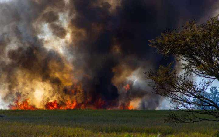 Eureka evacuat complet din cauza incendiului „Iron Fire” care a cuprins 87 km² în Utah