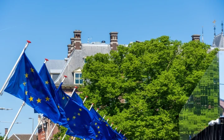BNS cere Uniunii Europene verificarea strictă a celor 16 miliarde de euro alocate României pentru apărare
