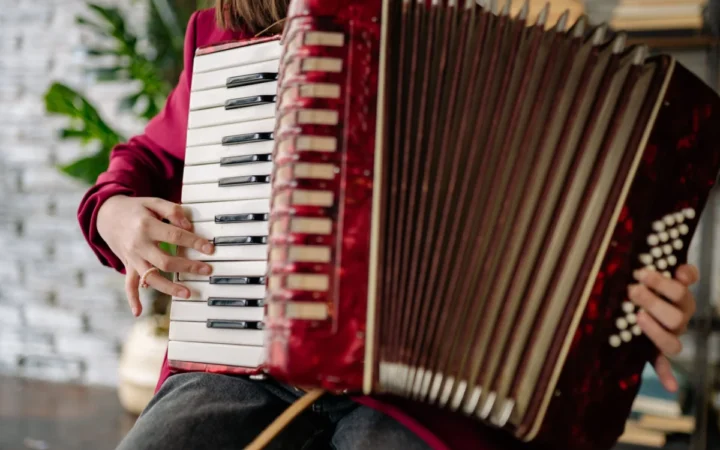 Alina Manole: De la sociologie la inventarea folk-jazzului și succesul pe scena muzicală