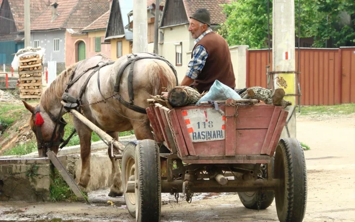Vremea extremă în România: valuri de căldură, secetă și furtuni afectează agricultura