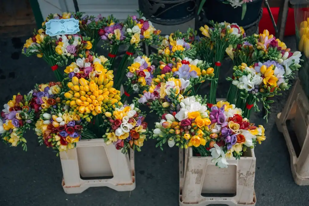 Grădinăritul prinde rădăcini în orașe: românii cultivă plante pentru sănătate și relaxare
