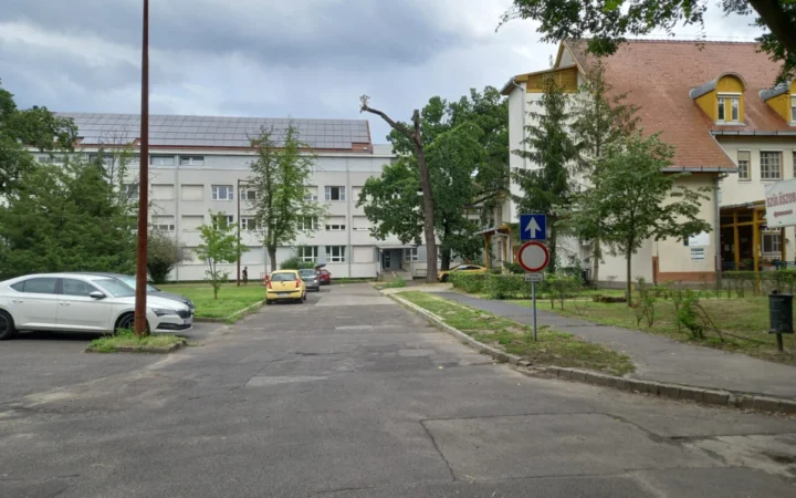 Fostul ministru Alexandru Rogobete avertizează: bugetele pentru secțiile critice din spitale sunt aproape de zero
